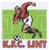Lint